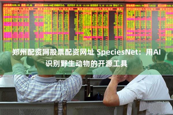 郑州配资网股票配资网址 SpeciesNet：用AI识别野生动物的开源工具