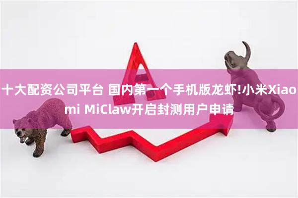 十大配资公司平台 国内第一个手机版龙虾!小米Xiaomi MiClaw开启封测用户申请
